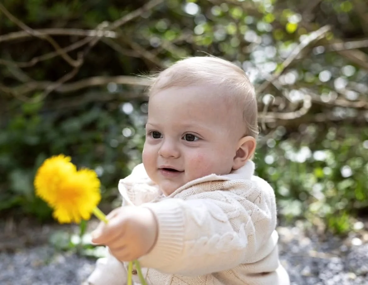 Baby hält eine gelbe Löwenzahnblüte in der Hand